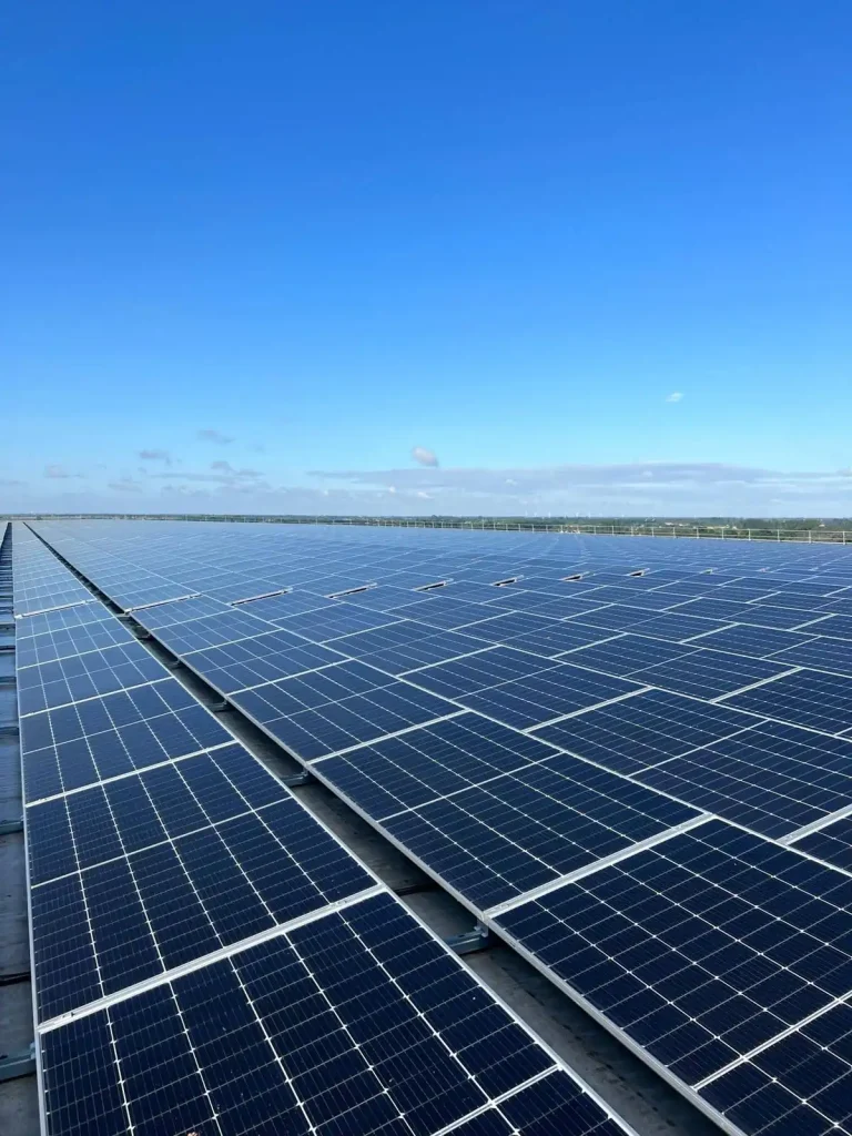 Large-scale solar farm with rows of panels under clear blue sky